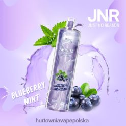 Hurtownia Vape PL - jagodowa mięta VPNZX672 JNR SHISHA