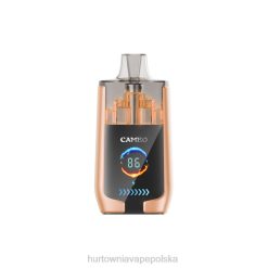 Hurtownia Vape PL - LAVIE CAMEO 30 000 zaciągnięć 8R2Z22 wiśniowy