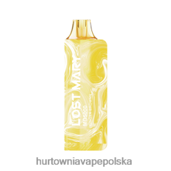 Hurtownia Vape Polska - imbirowy brąz VPNZX521 LOST MARY MO5000