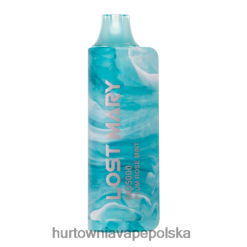 Hurtownia Vape Polska - śliwka róża mięta VPNZX531 LOST MARY MO5000
