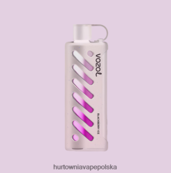 Hurtownia Vape Polska - VOZOL szisza sprzętowa 25000 wielo PZHBD01