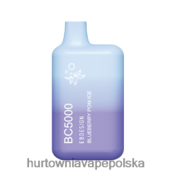 Hurtownia Vape W Polsce - lód pom jagodowy VPNZX299 ELFBAR BC5000