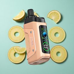 Razz Bar 45000 Zaciągnięć Jednorazowy Vape Ananas Kokosowy Typ-C Ładowany