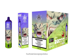 Vape Shop Białystok - Bang Beach Inteligentny ekran o wydajności 22 000 zaciągnięć vimto J66LVB18