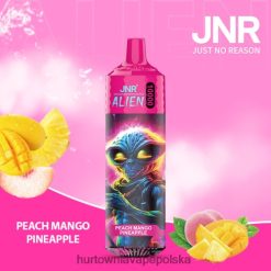 Vape Shop Białystok - brzoskwinia, mango, ananas VPNZX658 JNR ALIEN