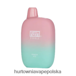Vape Shop Białystok - FLUM PEBBLES 6000 zaciągnięć lodowa brzoskwinia PZHBD038