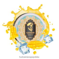 Vape Shop Białystok - lód mango VPNZX68 ALIBARBAR woreczek nikotynowy