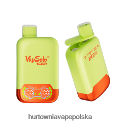 Vape Shop Białystok - Vapsolo TWINS jednorazowy waporyzator lód arbuzowy i mieszane jagody 000000128