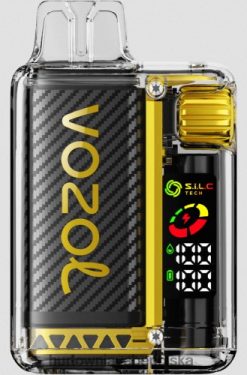Vape Shop Białystok - wiśnia bananowa z owocami smoka VPNZX8 VOZOL VISTA 16000/20000 5%