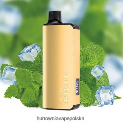 Vape Shop Lublin - Alibarbar Ingot 20000 jednorazowych waporyzatorów fajna mięta 00000035