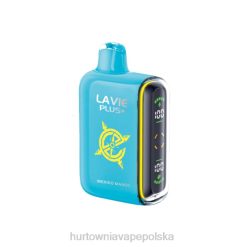 Vape Shop Lublin - LAVIE PLUS 15 000 zaciągnięć 8R2Z95 meksykańskie mango