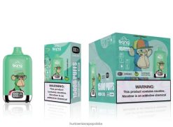 Vape Shop Lublin - malina kwaśne jabłko VPNZX135 Bang Box 15000