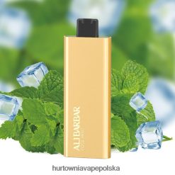 Vape Shop Warszawa - Alibarbar Pandora 7000 jednorazowych waporyzatorów fajna mięta 00000054