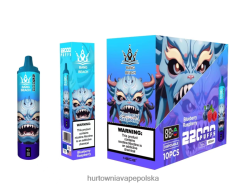 Vape Shop Warszawa - Bang Beach Inteligentny ekran o wydajności 22 000 zaciągnięć jagoda malina J66LVB14