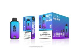 Vape Shop Wrocław - Bang Box 18 000 zaciągnięć potrójny lód jagodowy J66LVB95