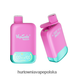 Vape Shop Wrocław - Vapsolo TWINS jednorazowy waporyzator lód truskawkowy, malinowy, wiśniowy i lód winogronowy 000000127