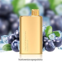 Vape Tech Poland - Alibarbar Rich 8000 jednorazowych waporyzatorów lód jagodowy 0000003