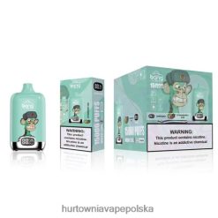 Vape Tech Poland - kiwi truskawkowe VPNZX133 Bang Box 15000